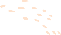 About Compusoft | Know about Compusoft Services | Know about Compusoft Course